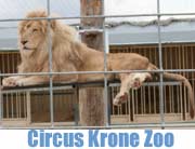nicht verpassen: den Circus Krone Zoo (Foto: MartiN Schmitz)